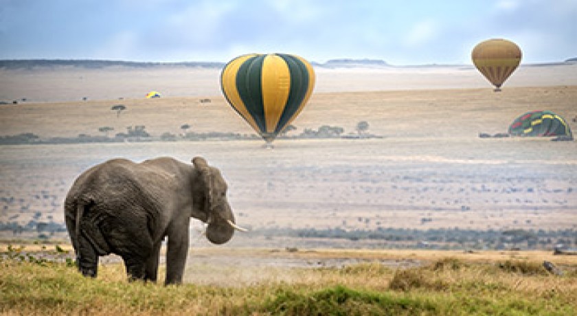 Safari de acampamento de 14 dias