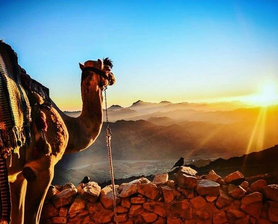 Colored Canyon Tours from Taba