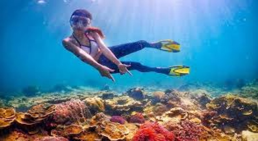 Sharm El Luli Tours em Marsa Alam