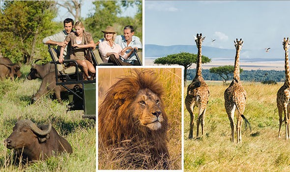 Kenya Safari – Nairobi Wildlife Experience