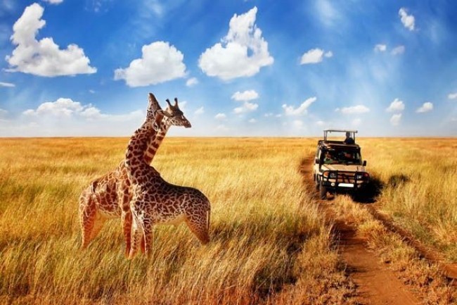 Paquetes de Viajes y Safari en Kenia