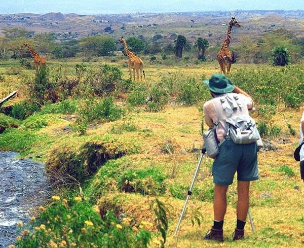 14 Days Camping Safari